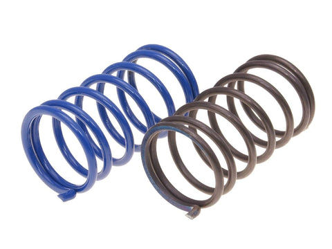 torque / variator adjuster spring set Polini for Piaggio, Vespa Bravo, boss, Ciao, Grillo, Si POLINI MOTOVEIKALS 21
