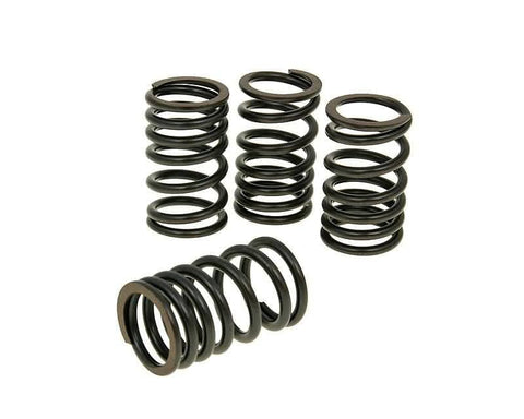 valve spring set Malossi for Honda SH300i (07-), NSS 300i MALOSSI MOTOVEIKALS 21