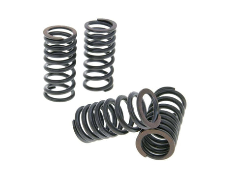 valve spring set Malossi sport for Aprilia, Gilera, Malaguti, Piaggio 400, 500cc MALOSSI MOTOVEIKALS 21