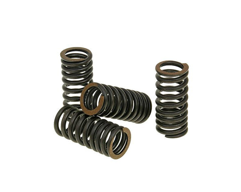 valve spring set Malossi Titanium for Aprilia, Piaggio, Vespa, Gilera V4 MALOSSI MOTOVEIKALS 21