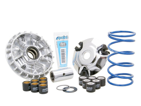 variator Polini Maxi Hi-Speed for Piaggio Fly, Liberty, Vespa Primavera, Sprint 125ie, 150ie 3V POLINI MOTOVEIKALS 21