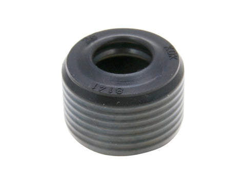 water pump oil seal KOK 8x16x10/11 for Piaggio 2-stroke LC 50-180cc DIVERSE / IMPORT MOTOVEIKALS 21