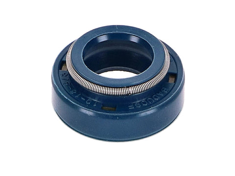 water pump seal Top Performances D10x18x5/8 for Minarelli AM TOP PERFORMANCES MOTOVEIKALS 21