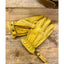 13 1/2 Loud Ride gloves yellow 13 AND A HALF COMPANY MOTOVEIKALS 21