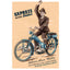 Advertising poster moped 42cm 29cm for Express Radexi 1 DIVERSE / IMPORT MOTOVEIKALS 21