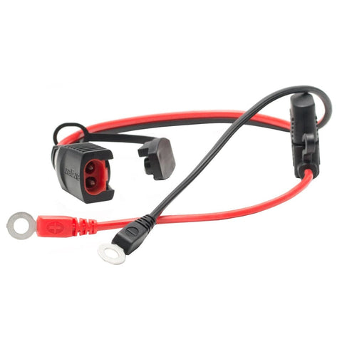 Akumulatoru lādētājs plug-in PROCHARGER 600 PROCHARGER MOTOVEIKALS 21