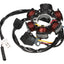 Alternator Stator 101 OCTANE 101 OCTANE MOTOVEIKALS 21