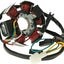 Alternator Stator 101 OCTANE 101 OCTANE MOTOVEIKALS 21
