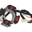 Alternator Stator 101 OCTANE 101 OCTANE MOTOVEIKALS 21