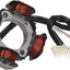 Alternator Stator 101 OCTANE 101 OCTANE MOTOVEIKALS 21
