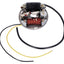 alternator stator breaker 6V 17W for Puch Maxi E50, Z50, ZA50, Sachs, Hercules, Zündapp 101 OCTANE MOTOVEIKALS 21