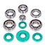 Ball bearing set Schmitt Evolution metal cage C3 FKM green with twist direction for Simson M500 engine SCHMITT MOTOVEIKALS 21