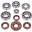 ball bearing set Schmitt metal cage C3 for Simson M500 engine SCHMITT MOTOVEIKALS 21