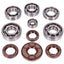 ball bearing set Schmitt metal cage C4 for Simson M500 engine SCHMITT MOTOVEIKALS 21