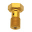 Banjo Bolt Gold M10X1 Brembo TRW TRW MOTOVEIKALS 21