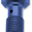 Banjo Bolt M10X1.0 Bl TRW TRW MOTOVEIKALS 21
