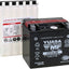 Batt Ytx14L-Bs .69 Liter YUASA YUASA MOTOVEIKALS 21