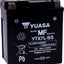 Battery-Mnt Free.33 Liter YUASA YUASA MOTOVEIKALS 21