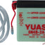 Battery-Yuasa YUASA YUASA MOTOVEIKALS 21