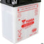 Battery-Yuasa YUASA YUASA MOTOVEIKALS 21