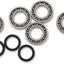 Bearing Kit Diff Ft Pol MOOSE RACING HARD-PARTS MOOSE RACING MOTOVEIKALS 21