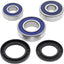 Bearing Kit Whl 25-1234 ALL BALLS ALL BALLS MOTOVEIKALS 21