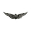 Biker pins Aviator wings pin MCS MOTOVEIKALS 21