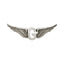 Biker pins Goldwing g wing pin MCS MOTOVEIKALS 21