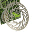 brake disc NG for Derbi DRD, Rieju MRX, SMX, Tango, Yamaha DT NG BRAKE DISC MOTOVEIKALS 21