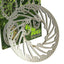 brake disc NG for Rieju RS 2 50 NG BRAKE DISC MOTOVEIKALS 21