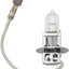 Bulb H3 35W Halogen DRAG SPECIALTIES DRAG SPECIALTIES MOTOVEIKALS 21