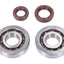 cankshaft bearing set Naraku FKM Heavy Duty for Kymco, SYM vertical (GR1) NARAKU MOTOVEIKALS 21