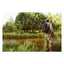 Carhartt Classic Single backpack black CARHARTT MOTOVEIKALS 21