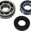 Chaincase Bearing-Seal Kt ALL BALLS ALL BALLS MOTOVEIKALS 21