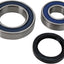 Chaincase Bearing-Seal Kt ALL BALLS ALL BALLS MOTOVEIKALS 21