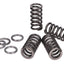 clutch springs Polini reinforced for Minarelli AM4, AM5, AM6 POLINI MOTOVEIKALS 21