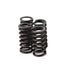 clutch springs VOCA Race for Minarelli AM6 VOCA RACING MOTOVEIKALS 21