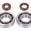 crankshaft bearing set Naraku FKM Heavy Duty for Honda X8R NARAKU MOTOVEIKALS 21