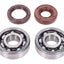 crankshaft bearing set Naraku FKM Heavy Duty for Minarelli AM6 NARAKU MOTOVEIKALS 21
