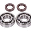 crankshaft bearing set Naraku FKM Heavy Duty for Peugeot horizontal NARAKU MOTOVEIKALS 21