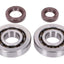 crankshaft bearing set Naraku FKM Heavy Duty for Peugeot vertical Euro1 NARAKU MOTOVEIKALS 21