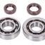 crankshaft bearing set Naraku FKM Heavy Duty for Peugeot vertical Euro2 NARAKU MOTOVEIKALS 21