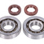 crankshaft bearing set Naraku FKM Heavy Duty for Piaggio NARAKU MOTOVEIKALS 21