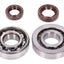 crankshaft bearing set Naraku SKF, FKM Premium C3, C4 metal cage for Peugeot vertical Euro2 NARAKU MOTOVEIKALS 21