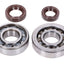 crankshaft bearing set Naraku SKF, FKM Premium C3, C4 polyamide for Peugeot vertical E2 NARAKU MOTOVEIKALS 21