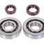crankshaft bearing set Naraku SKF, FKM Premium C3 for Peugeot vertical Euro1 NARAKU MOTOVEIKALS 21