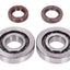 crankshaft bearing set Naraku SKF, FKM Premium C3 metal cage for Piaggio NARAKU MOTOVEIKALS 21