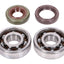 crankshaft bearing set Naraku SKF, FKM Premium C4 polyamide for Minarelli AM6 NARAKU MOTOVEIKALS 21