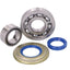 crankshaft bearing set Polini for Vespa PX/PE 125-200cc, LML Star, Bella, DLX Deluxe 125, 150cc POLINI MOTOVEIKALS 21