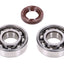crankshaft bearing set Schmitt FKM Premium -C3- for Piaggio Ciao, Bravo, Boxer SCHMITT MOTOVEIKALS 21